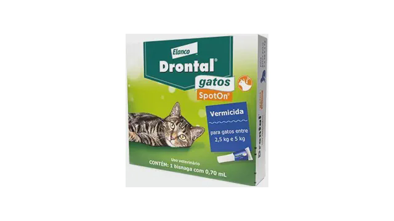 Qual o Melhor vermífugo para gato: Pipeta ou Oral?