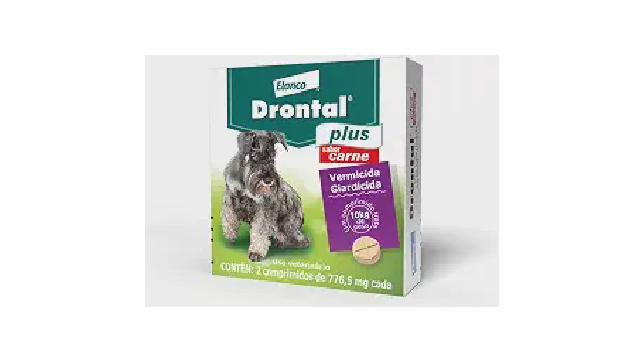 Qual o Melhor Vermífugo para Shih Tzu? Guia Útil