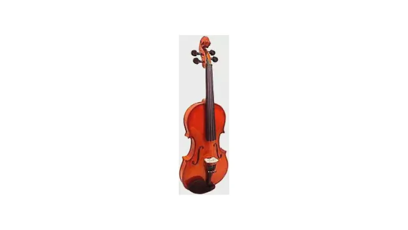 Qual o Melhor Violino Profissional: 7 Modelos Top