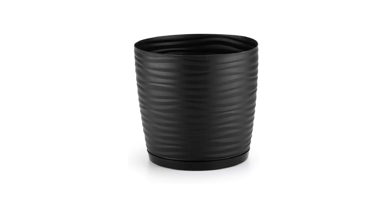 Qual o tamanho de vaso ideal para suculentas? Guia