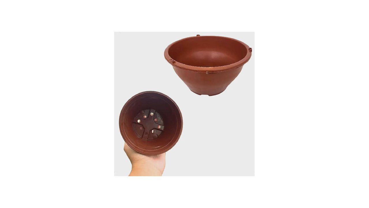 Qual o tamanho ideal de vaso para rosa do deserto: Guia e Top 10