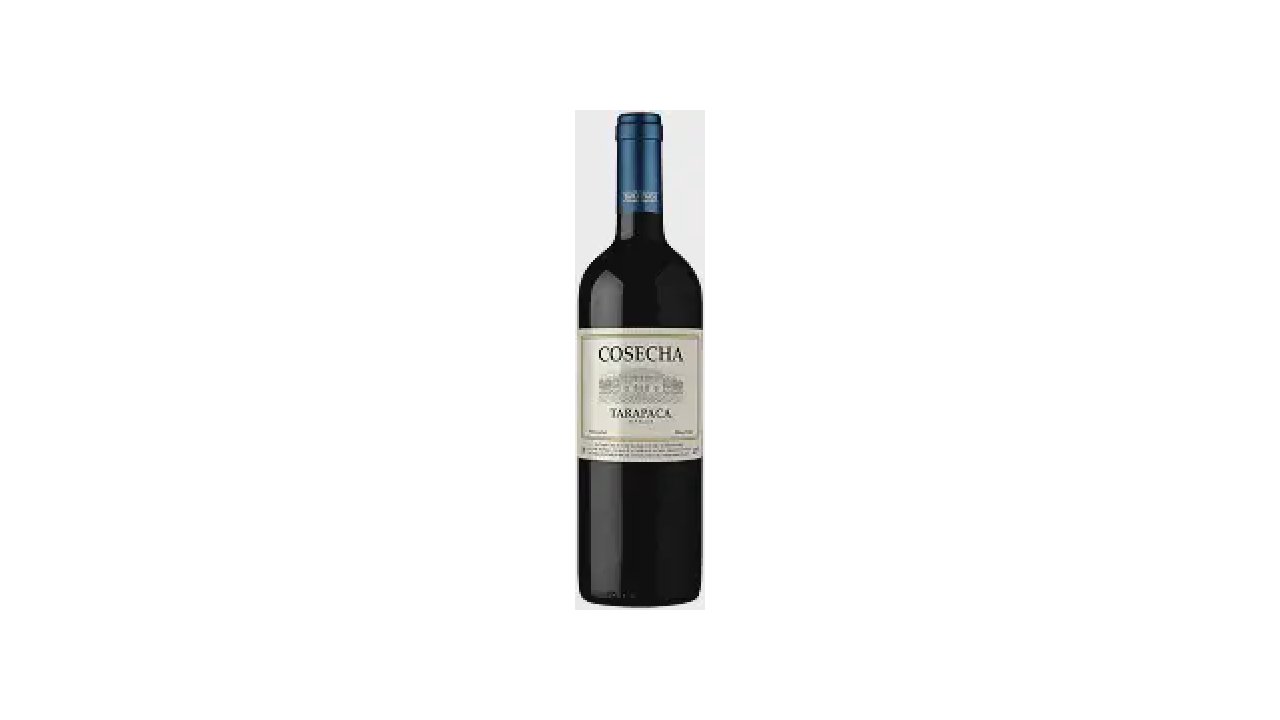 Qual Vinho é Mais Suave Malbec ou Merlot? Top 10 Rótulos